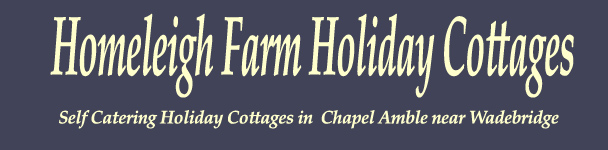 Self Catering Holiday Cottages near Wadebridg