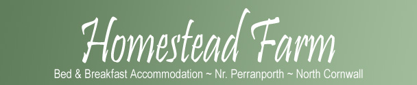 Bed & Breakfast Accommodation - Perranporth - Cornwall