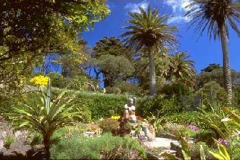 Tresco Abbey Gardens