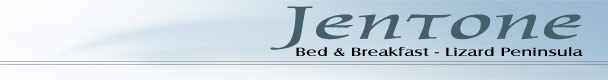Bed and Breakfast - lizard peninsual