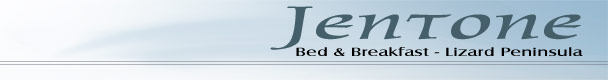Bed and Breakfast - lizard peninsual