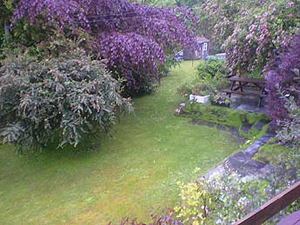 Self-catering cottages in Boscastle