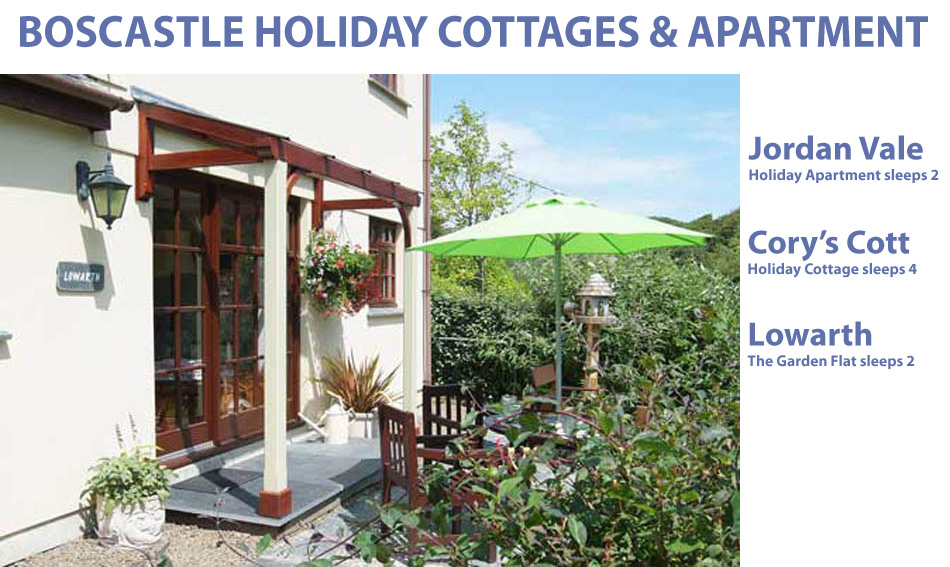 A cosy cottage style flat just for 2 and a character cottage sleeping 4 in the historic picturesque village of Boscastle.  Just a short walk to the coastal path and village amenities it is ideal for exploring Cornwall.