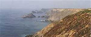 Cornish Coastal path - expoloring the cliffs at Portreath