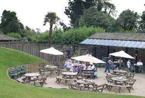 Glendurgan Maze