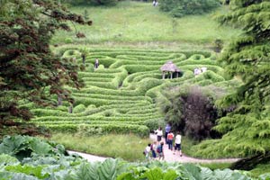 Glendurgan Maze