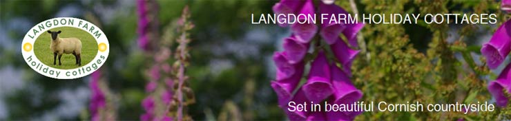 Self-catering Launceston