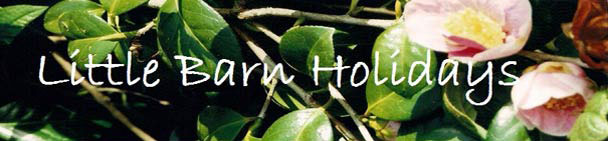 Little Barn - Self-catering Holiday Accommodation, Cornwall