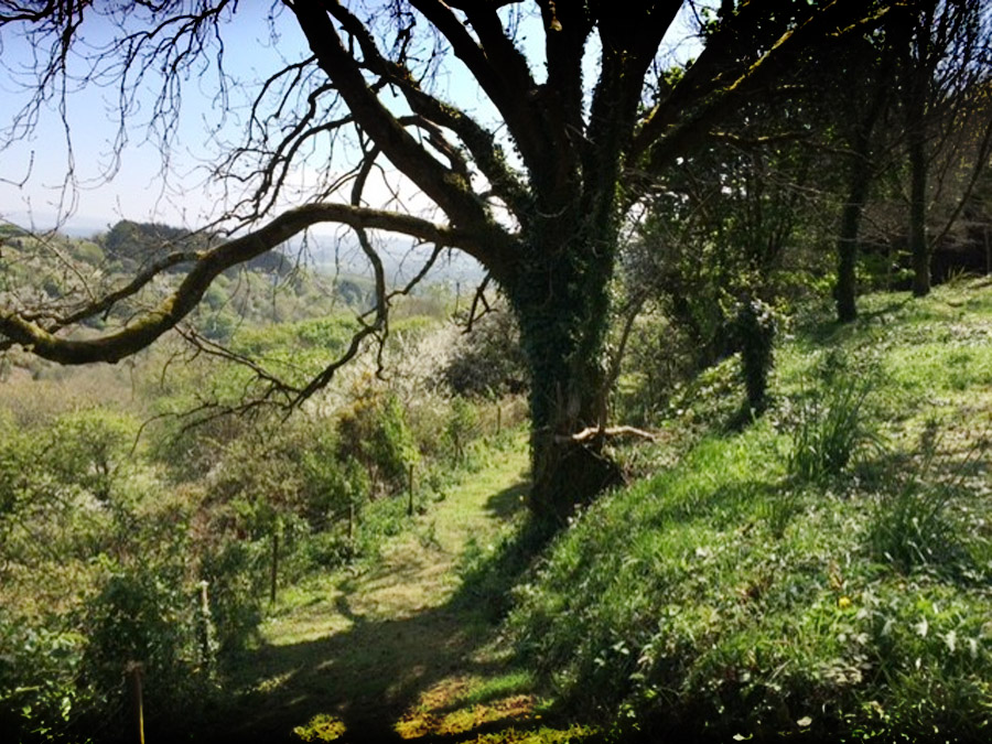 The Track to wild valley