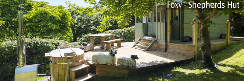 The Foxy Shepherd Hut Self-catering between St Ives and Penzance