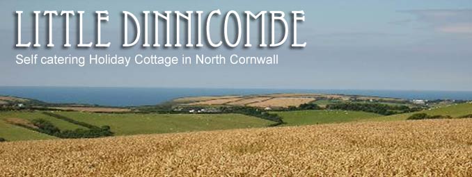 Little Dinnicombe - Self catering in Week St Mary