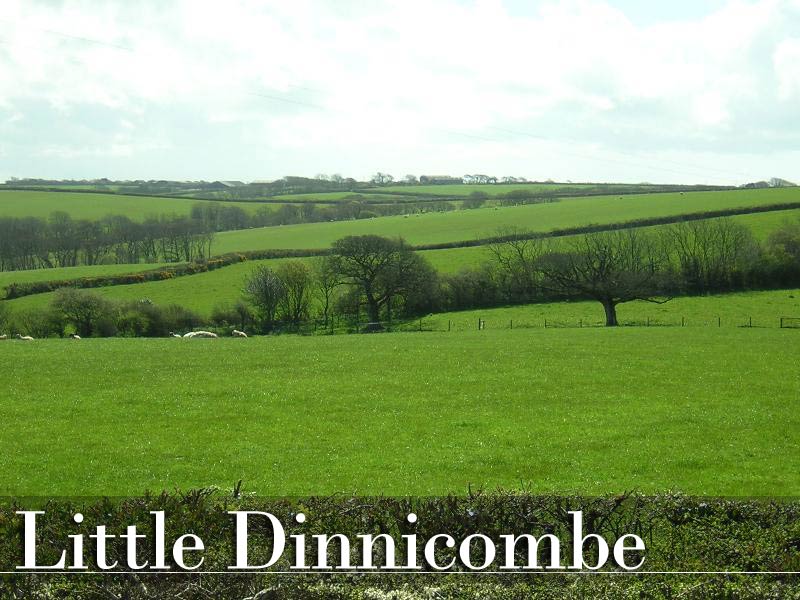 Little Dinnicombe - Self catering in Week St Mary