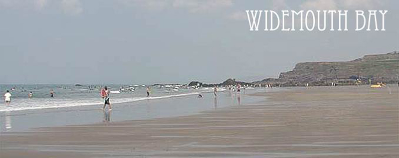 Widemouth Bay - Little Dinnicombe