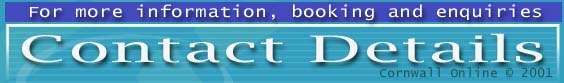 Cornwall Online Contact details