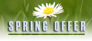 Spring Offer