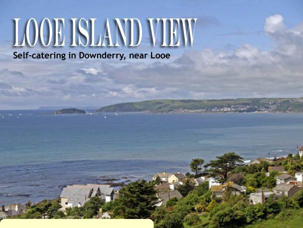 Looe Island View