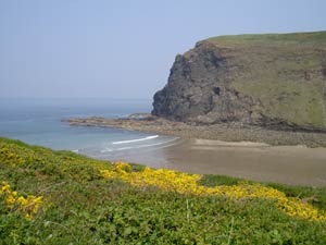 Crackington Haven
