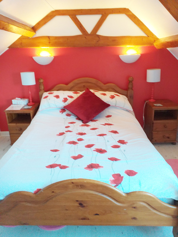  Double Room - B&B stays in Hayle @  The Mad Hatter Tea Rooms & Bed and Breakfast 