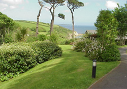 Self Catering Holiday - Maenporth Holiday Park- Falmouth