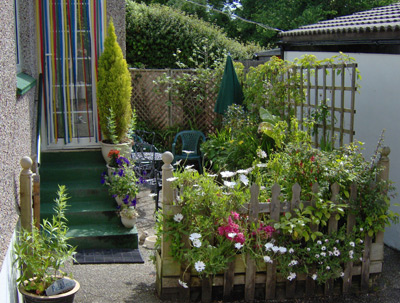 Garden and patios by the bungalows