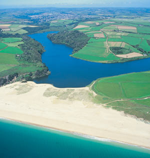 Martlett & Hirondelle - Weeth - Helston