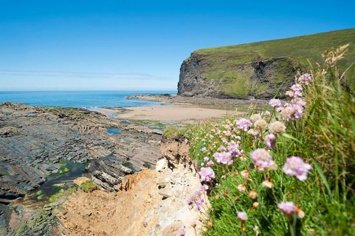 Penkenna Cliff - Crackington Haven 