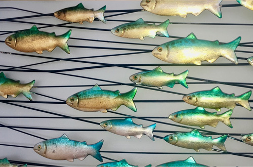 Fish Decor 