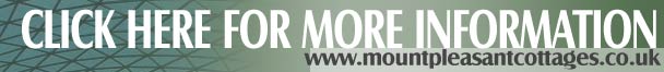 Cornwall Online Contact details