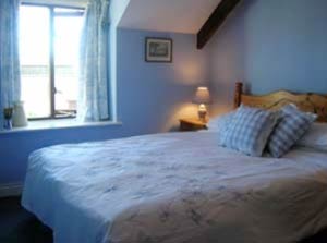 Mowhay Cottage - Self Catering in  Coverack