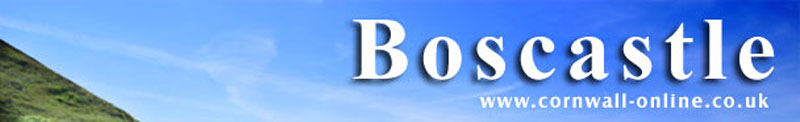 Boscastle logo