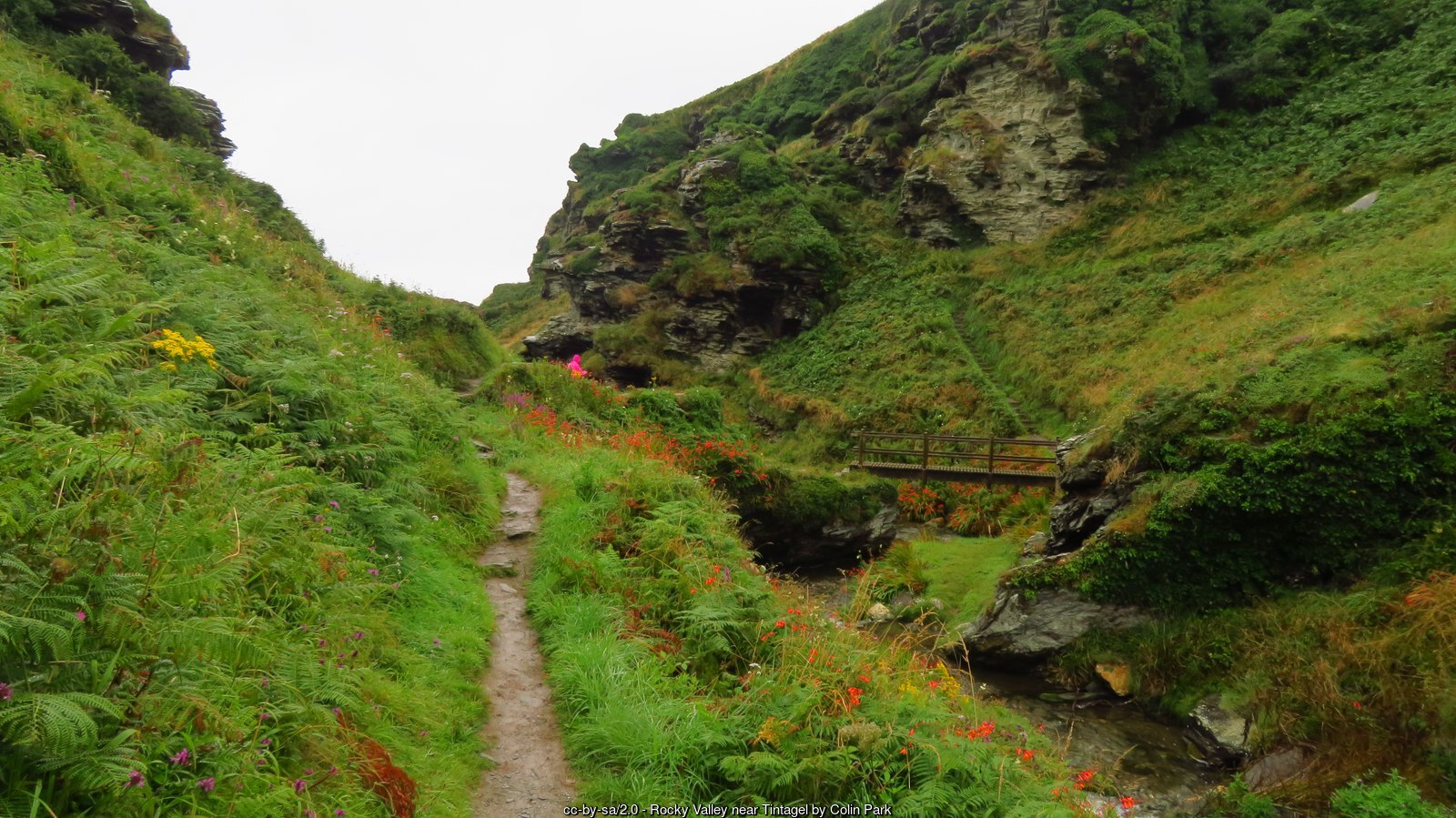 The coast path running through the green slopes of Rocky Valley near Tintagel