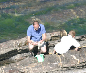 Rock pools at Crackington Haven