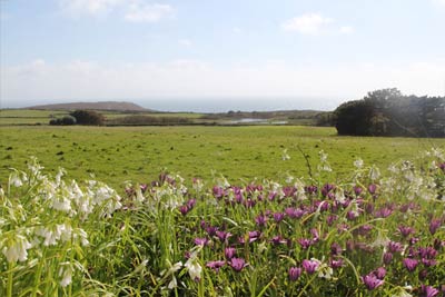 Holiday cottage for 2 people Self-catering on Lands end