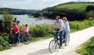 Wadebridge - Self Catering