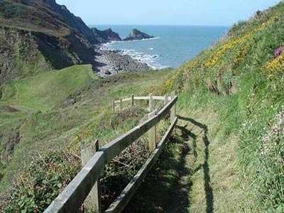 Welcombe Valley 