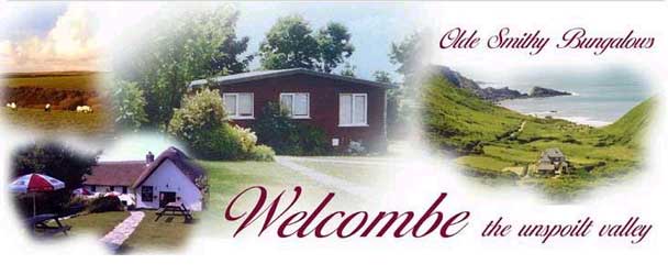 Olde Smithy Bungalow - Selfcatering Welcombe - Cornwall and Devon