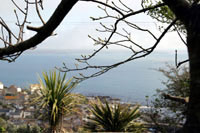 View from The Flowershed