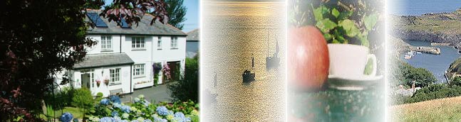 Bed and Breakfast - Boscastle - Orchard Lodge