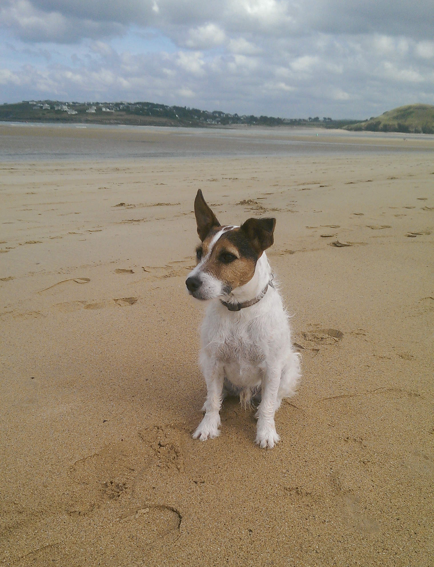 Padstow Holiday Cottage Crw Holidays Luxury Dog Friendly Holiday