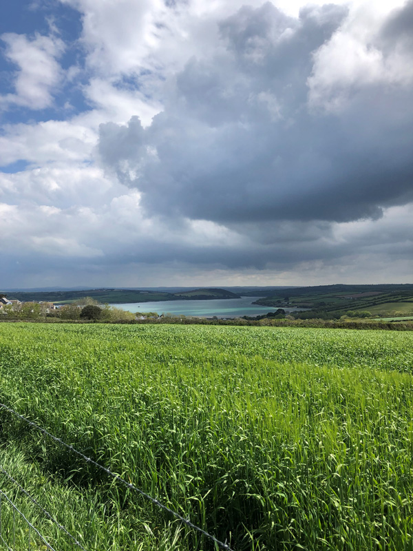 Walking to Padstow - Padstow Holiday Village 