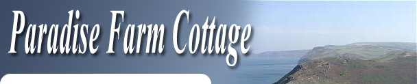 Holiday Cottage - Boscastle - North Cornwall