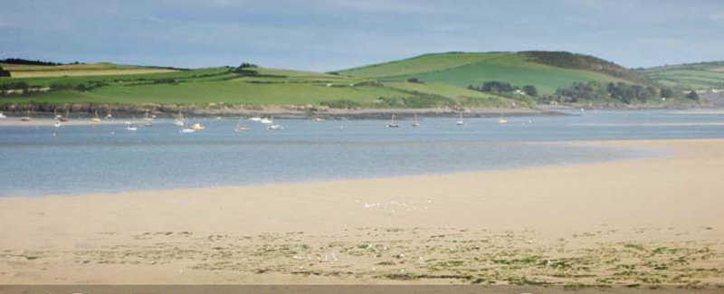 The Padstow  Estuary