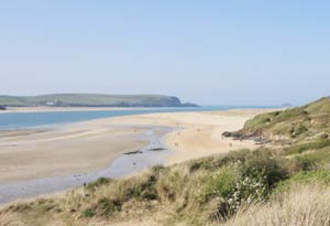 The Camel Estuary - Rock