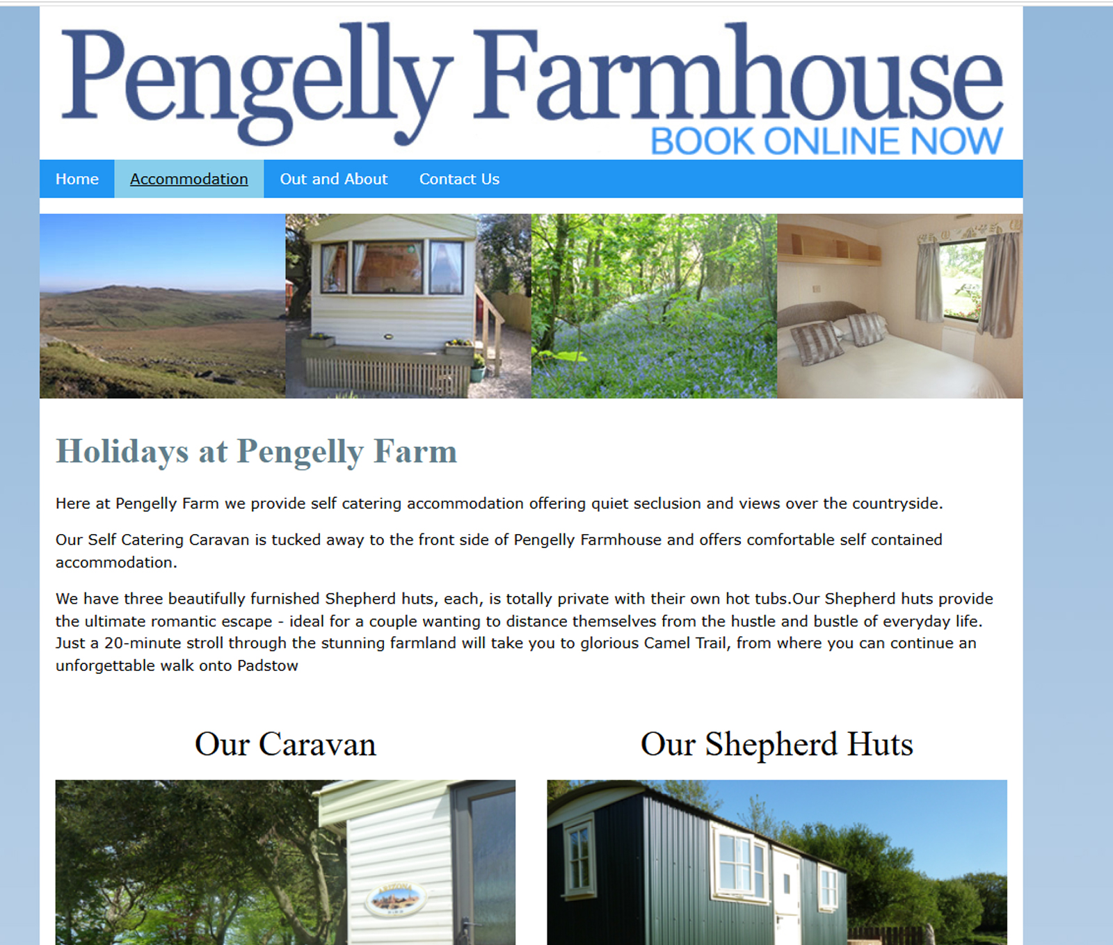 visit our website