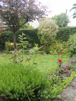 Self Catering Accommodation Newlyn Cornwall