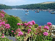 Self-catering in Fowey