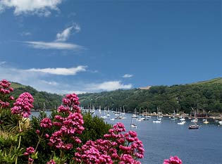 Self-catering in Fowey