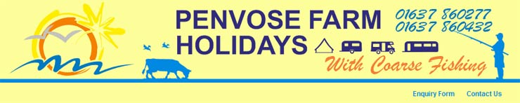 Penrose Farm Holidays, St Mawgan, Newquay,