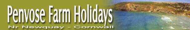 Penrose Farm Holidats, St Mawgan, Newquay,