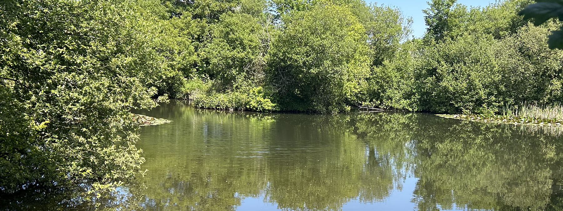 Penvose Farm Newquay coarse fishing